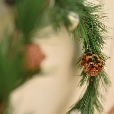 Pegaz Premium Privatan Parking Apartamento *