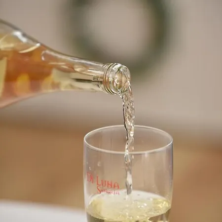 Pegaz Premium Privatan Parking Apartamento Kopaonik