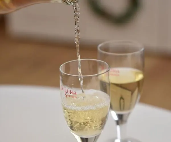 Pegaz Premium Privatan Parking * 카파오닉