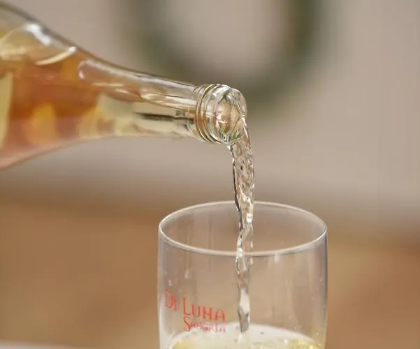 Pegaz Premium Privatan Parking 아파트 카파오닉